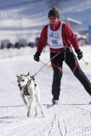 Lenk 2013